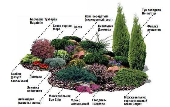 Альпийская Горка на Даче Своими Руками — 34 схемы и Фото как сделать