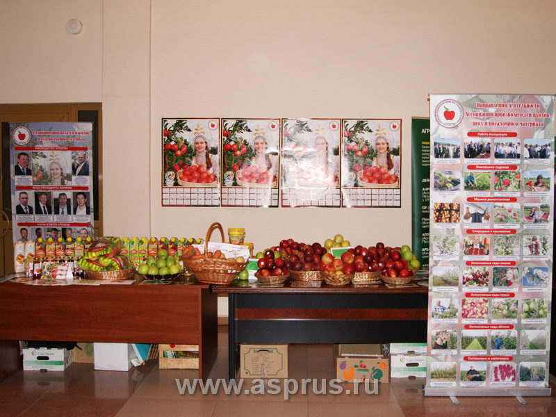 Выставка образцов продукции базовых хозяйств Ассоциации садоводов России