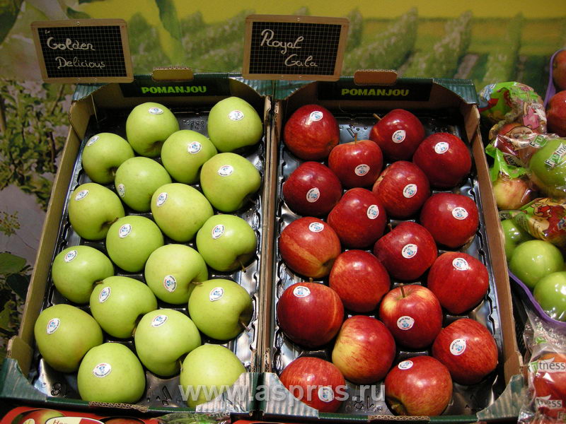 Яблоки Удлиненной Формы Сорта С Фото