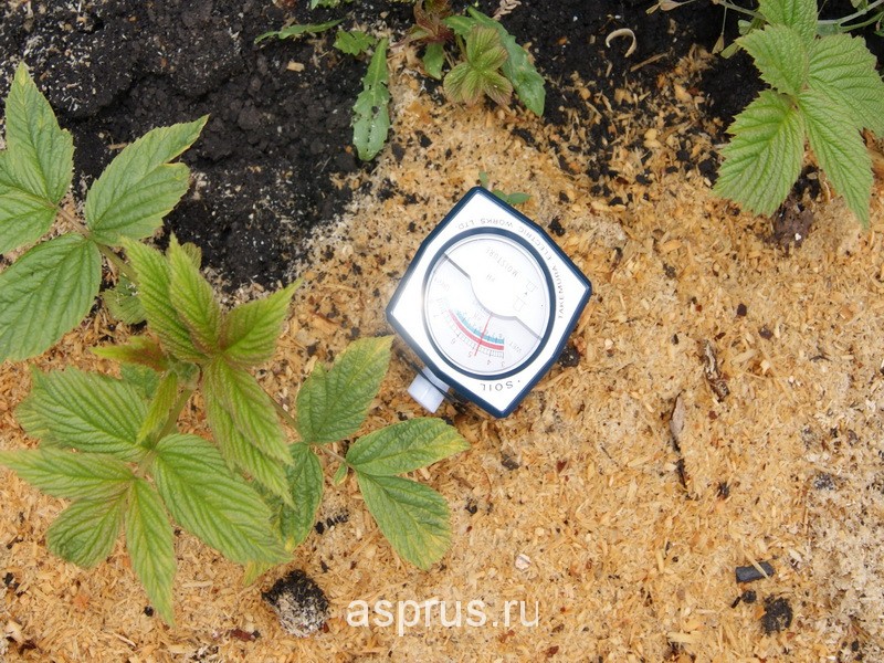 Способы поддержания оптимальной кислотности почвы в садах и на ягодныхплантациях