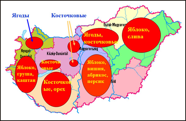 Главные регионы-производители Венгрии