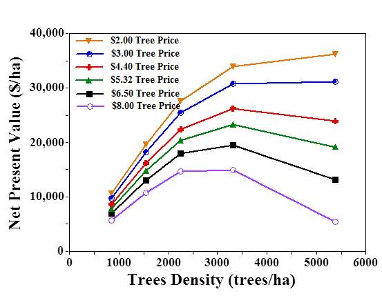 Себестоимость сада после 20 лет в зависимости от числа посаженных деревьев (Robinson и др. 2005