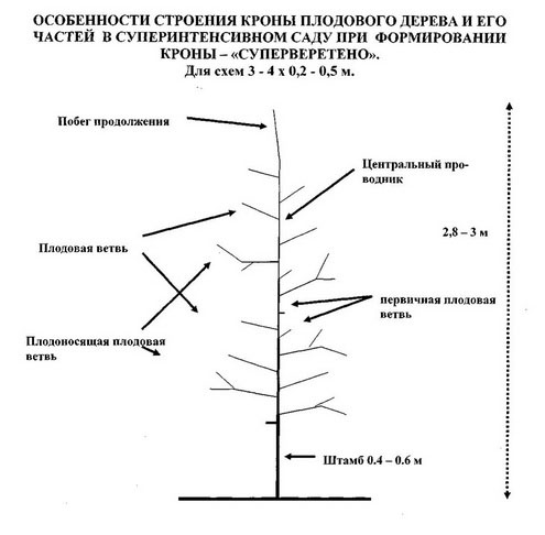 Схема 5 - "Суперверетено"